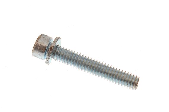 Screw and Washer - Short - 605838