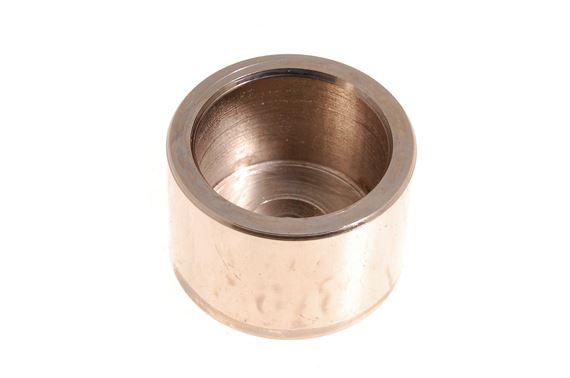 Caliper Repair (piston) - 606696P1 - OEM
