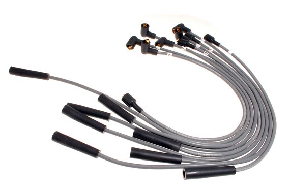 Plug Lead Set - RTC6551P1 - OEM
