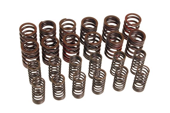 Valve Spring Set - Double - Inner and Outer - RV6009
