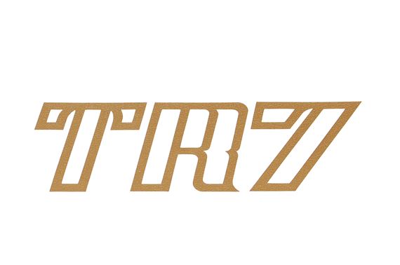 Front Panel Transfer - TR7 - Gold - ZKC1313