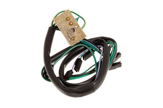 Wiring Harness and Resistor - AAP224