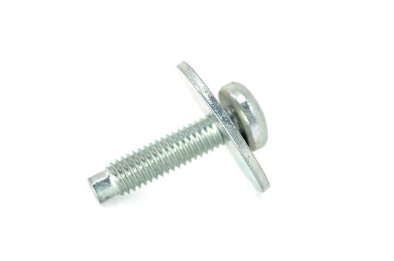 Screw and Washer Assembly - AYP500010 - Genuine