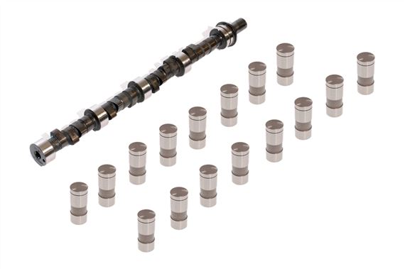 Rover V8 Camshafts and Kits