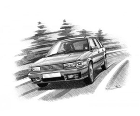MG Maestro Turbo Personalised Portrait in Black & White - RP1630BW