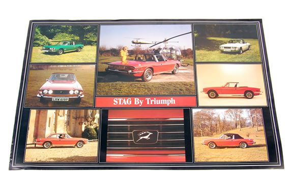 Stag Wall Poster - 965mm x 640mm - RS1411