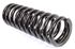 Rear Coil Spring - Uprated - 216275UR