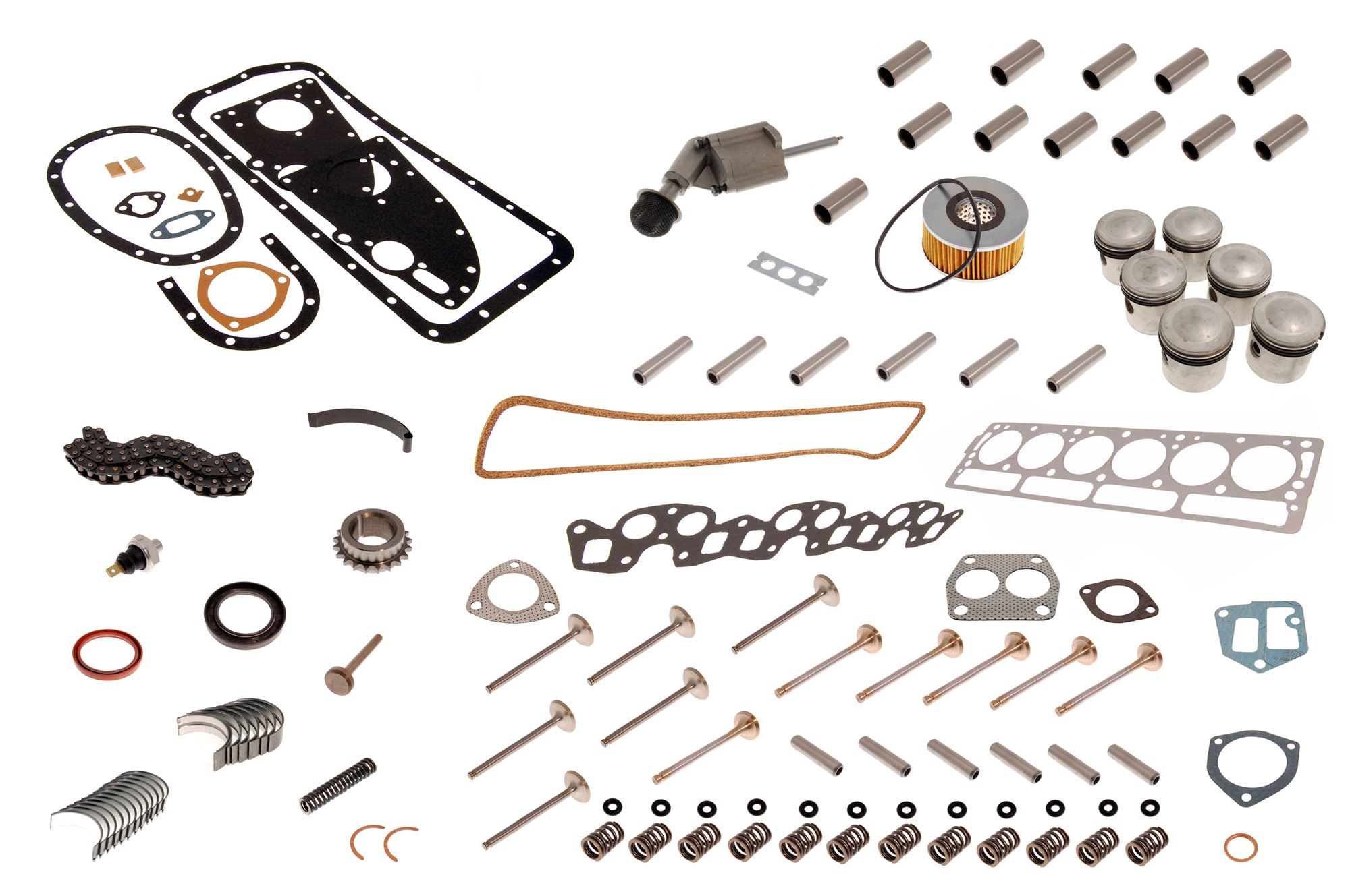 Full Engine Rebuild Kit RG1020R2BKGT6 Rimmer Bros