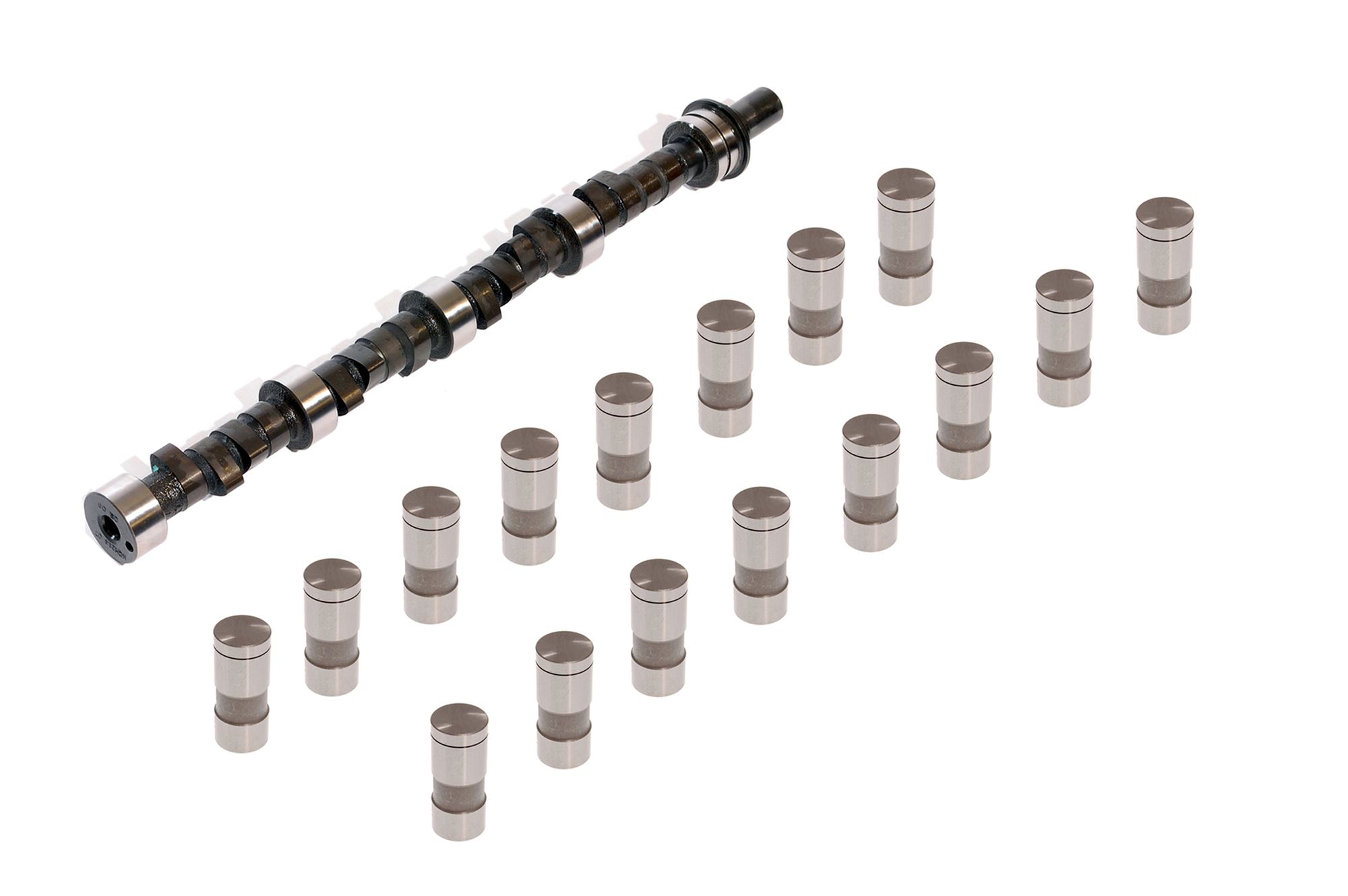 Camshaft Kit with Followers 3.9L Efi ERR5924K1