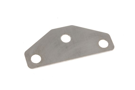 Shim - Door Hinge Lower Rear - ALR4723 - Genuine