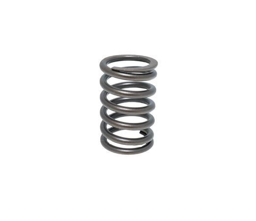 Valve Spring - 12G1136