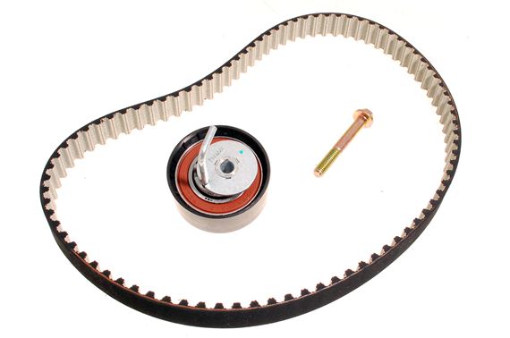 Timing Belt Kit Fuel Pump - 1324390P1 - OEM