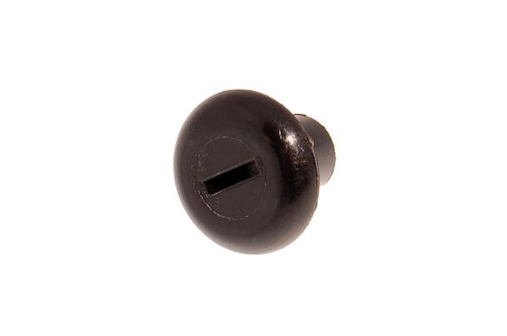 Blanking Plug - Plastic - 3/4 Inch Hole - 24K6821