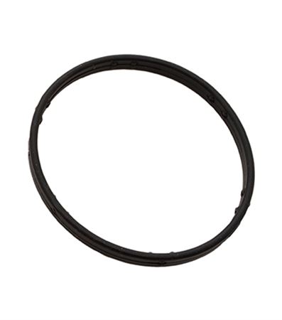 Themostat Housing O Ring - 4362513P1 - OEM