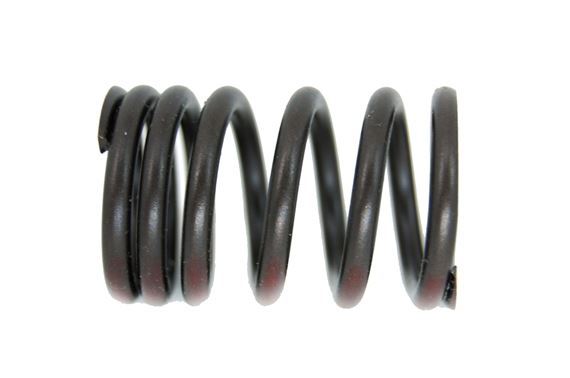 Valve Spring - Outer - Twin Fitment - 149633