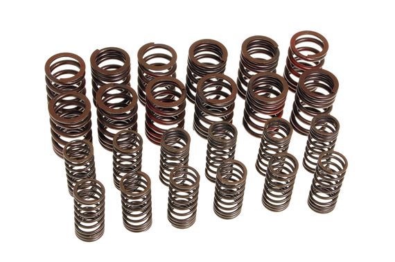 Valve Spring Set - Double - Inner and Outer - RV6001