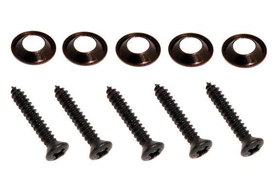 Fitting Kit - Dash - Black Screws and Cup Washers - RR1463B