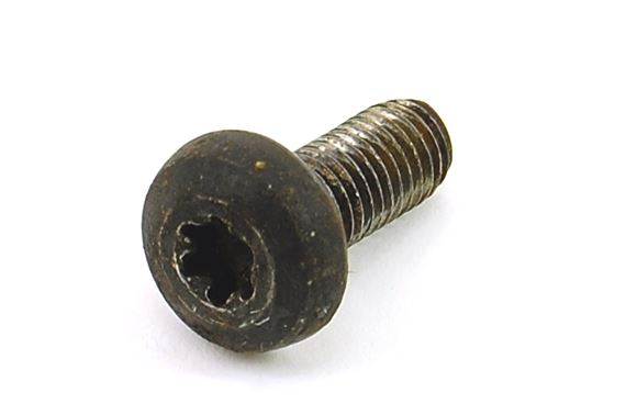 Screw - Weight Fixing - RB7371