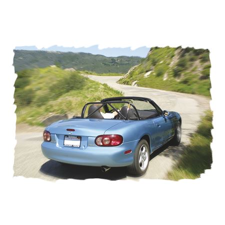 Roll Bar Sport M2 Black Single Diagonal 1989-05 - 900-769 - Hard Dog
