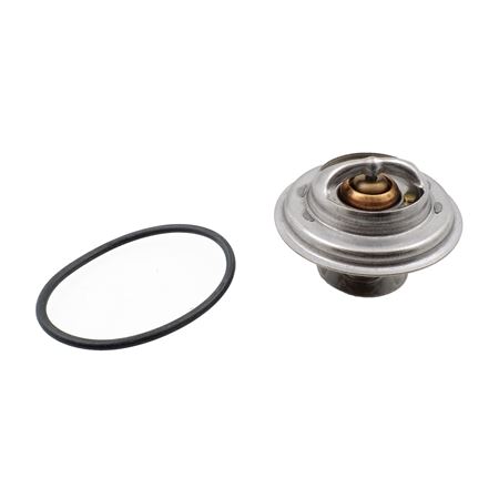 Thermostat & Seal - AJ86484P1 - OEM