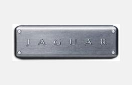 Intaglio - Graphite - C2D12040 - Genuine Jaguar