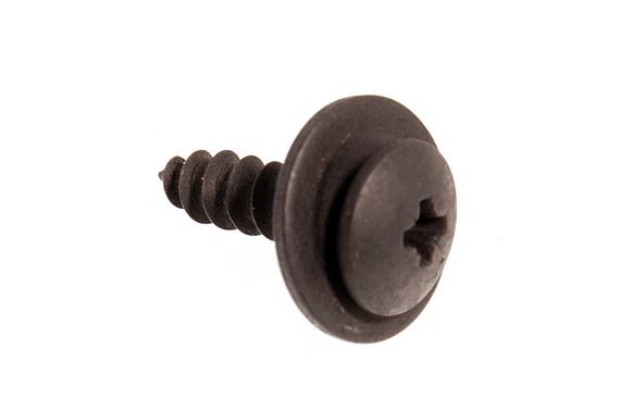Self Tapping Screw - DYP10035L - Genuine