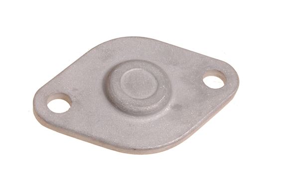 Plate-cylinder head water outlet blanking - RH - LDL100180 - Genuine MG Rover