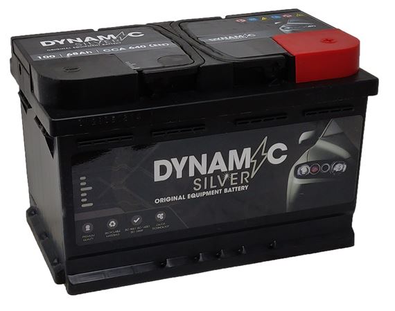 100 Battery 3 Year Warranty Dynamic Silver - RBAT100B