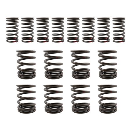 Valve Spring Set Of 16 - RF4020