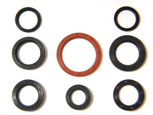 Oil Seal Kit - RM8251