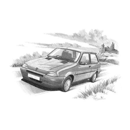 Rover Metro 3 Door Personalised Portrait in Black & White - RP2247BW