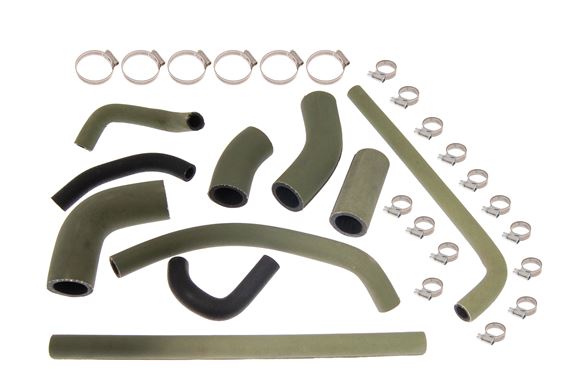 Hose Kit and Clips - Green - USA Carburettor Models - RR1266GREEN