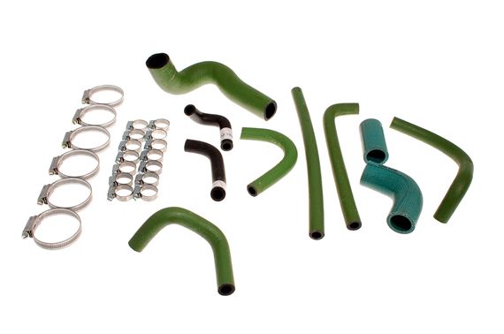 Hose Kit and Clips - Green - Carburettor Models - RR1507GREEN