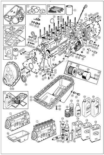 Full Engine (P.i), reconditioned exchange - RR2000R