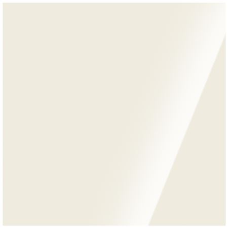 Touch Up Brush Triumph White 19 (BLVC206/NAB) - RX4009B