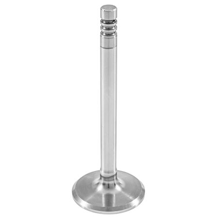 Inlet Valve - A+ - TAM1058SLPP - Aftermarket