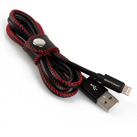 Woven iPhone Cable