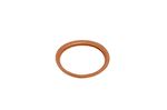 Sealing Washer Copper (Crush Type) - 231578B