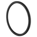 Ring Gear - 12G290