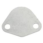 Fuel Pump Blanking Plate - 147876
