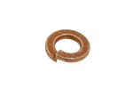 Spring Washer Single Coil 5/16" - WL600051L - Genuine