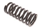 Front Road Spring - Uprated 420lb - Lowered 1 inch - 213165UR