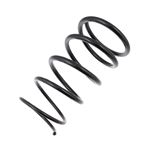 Road Spring Front - 282832108704RS - MG Rover