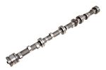 Camshaft - New - 307621