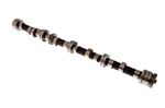 Camshaft - New - 311399