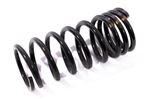 Coil Spring Rear - RKB101111P - Aftermarket