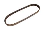 Multi Rib Belt - PQS10043EVAP