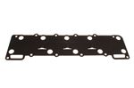 Camshaft Cover Gasket - Inlet - LVP10006EVA - Genuine MG Rover