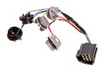 Wiring and Bulb Holders Assembly - YND500070 - Genuine
