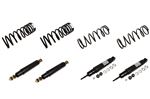 Shock Absorber and Spring Kit - RA1154P - Aftermarket